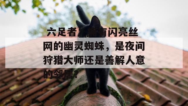  六足者：拥有闪亮丝网的幽灵蜘蛛，是夜间狩猎大师还是善解人意的邻居？